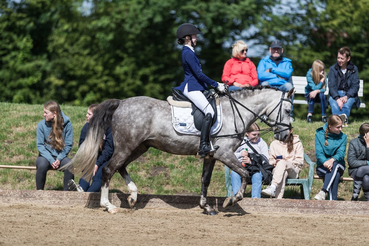 Bild 7 - Pony Akademie Turnier